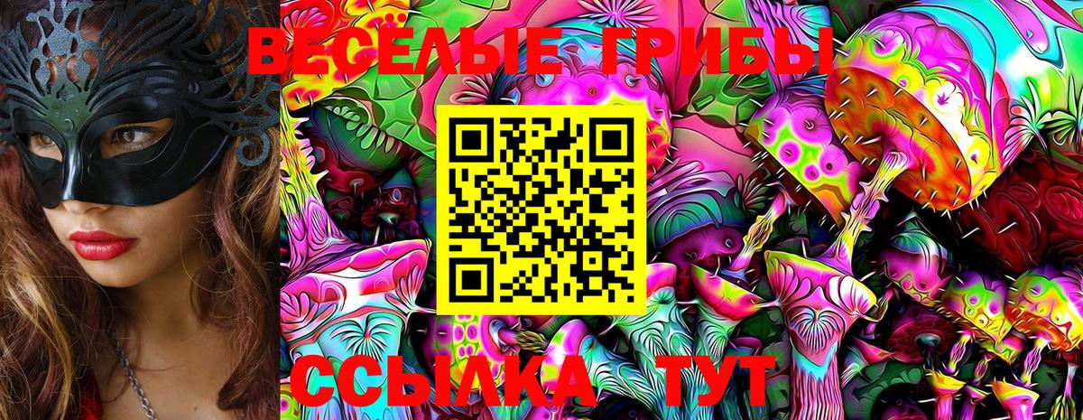 Галлюциногенные грибы MAGIC MUSHROOMS  Вход с VPN  Шатура 
